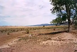 A desert scene. The mountains in the background are the Elk Mountains and Black Hills National Forest, separated from the Limestone Plateau by highlands and prairie.