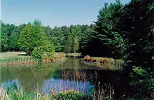 Image 23The Blackbird Pond on the Blackbird State Forest Meadows Tract in New Castle County, Delaware (from Delaware)