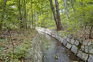 Forest along the Blackstone River