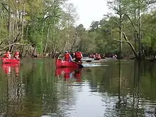 Image 7Boy Scouts canoeing on the Blackwater River, Virginia