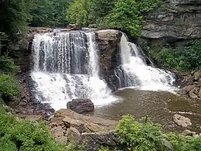 Blackwater Falls drops about 62' in Blackwater Falls State Park