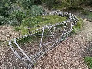 Blackberry brush tunnel in Australian Hollow