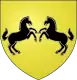 Coat of arms of Brusque