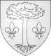 Coat of arms of Fayet