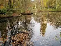 The "Neue Partie" pond