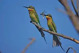 At the Powai Lake, India