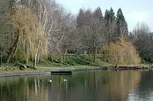 Shoreline of Blue Lake