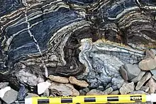 Folded blue metacherts with glaucophane-rich layers, exposed in outcrops on Kayak Beach, Angel Island, northern San Francisco Bay.