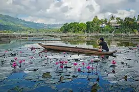 An owong at Lake Sebu