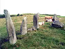 Photo of the stone circle