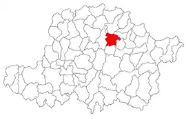 Location in Arad County