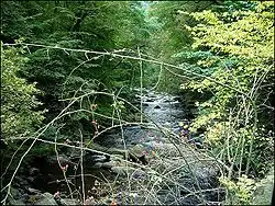 Image 27Bode Gorge (from Harz)