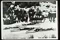 Bodies of the four stockmen out of the Back Country Background:Harry Cambron. Foreground left to right:Bert Indiano, Peter Erramouspe, John Laxague,