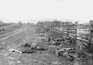 Confederate dead at Antietam 1862 north of the Dunker Church on the west side of the Hagerstown Pike