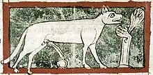 Image 84As is usual in bestiaries, the lynx in this late 13th-century English manuscript is shown urinating, the urine turning to the mythical stone Lyngurium (from List of mythological objects)