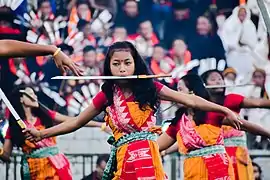 Boro women at Hornbill Festival