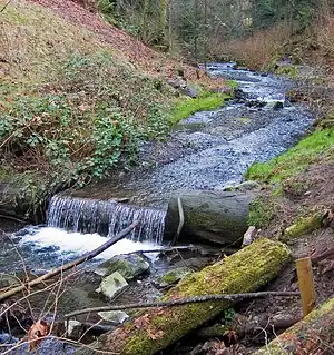 A view of Boeing Creek.