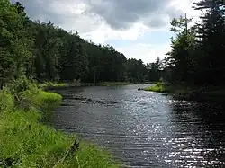 Bog River Flow