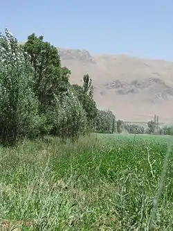 Landscape in Boldaji