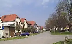 Unter den Linden in Bollstedt