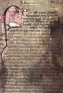 A page from a 12th century Irish manuscript