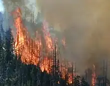 B&B Complex Fires
