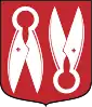 Coat of arms of Borås Municipality