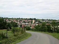 General view of Boršice