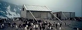  Two wooden structures surrounded by penguins. The larger, on the left, has a pitched roof and is supported by timber braces. The smaller, on the right, has no roof. Snowy slopes are visible in the background.