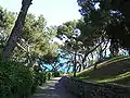 Pineta del Capo, Bordighera