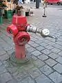 Coupling on a Belgian fire hydrant with a DSP connection to deliver water to an individual.