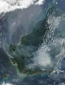 Satellite image of the island of Borneo on 19 August 2002, showing smoke from burning peat swamp forests.