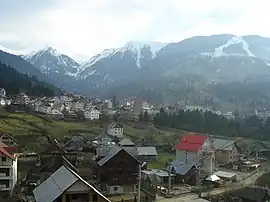 Houses in Borșa