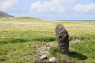 Standing stone at Borve