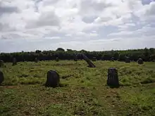 Image 20Boscawen-Un stone circle looking north (from Culture of Cornwall)