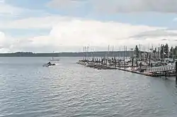 Boston Harbor Marina