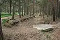 Pineferous forest of the sandy Bagshot Formation spanning parts of four boroughs towards the north-west and in the far west of the county, with defensive positions for historic army training near Deepcut and Pirbright