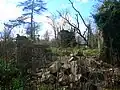 Ruins of estate outbuildings - stables, etc.