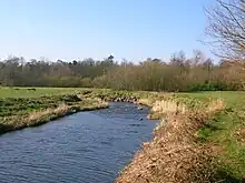 The Annick Water at Bourtreehill.