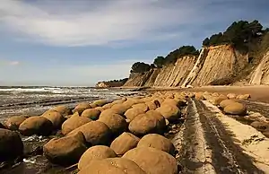 Image 64Concretions, by Mbz1 (from Wikipedia:Featured pictures/Sciences/Geology)