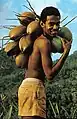 Boy with coconuts Seychelles