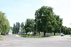 Common in Braňany