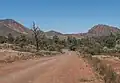 Brachina Gorge Road