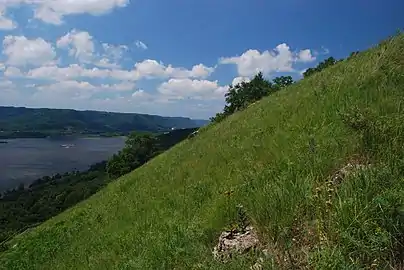 Prairie at Brady's Bluff