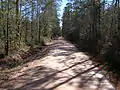 Bragg Road of Hardin County, Texas (looking south)