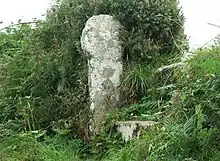 Fig. d34: Brane cross