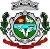 Coat of arms of Boa Vista do Sul