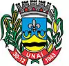 Official seal of Unaí