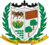 Coat of arms of Goianésia do Pará