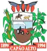 Official seal of Capão Alto